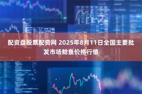 配资盘股票配资网 2025年8月11日全国主要批发市场鲶鱼价格行情