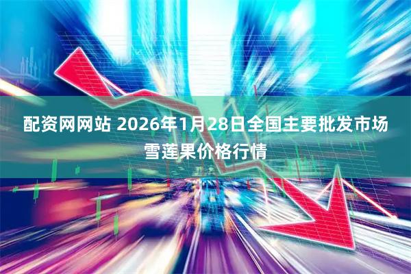 配资网网站 2026年1月28日全国主要批发市场雪莲果价格行情