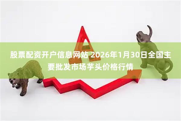 股票配资开户信息网站 2026年1月30日全国主要批发市场芋头价格行情